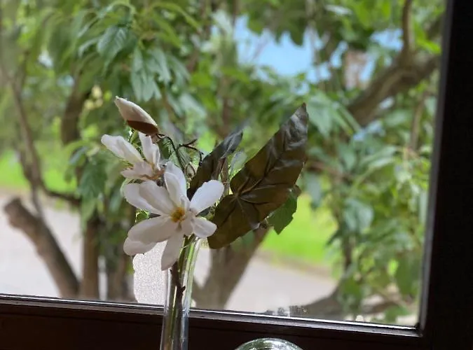 Apartmán Hopfengarten *