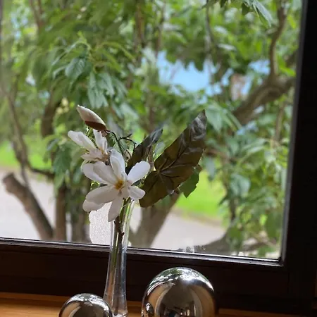 Apartmán Hopfengarten *